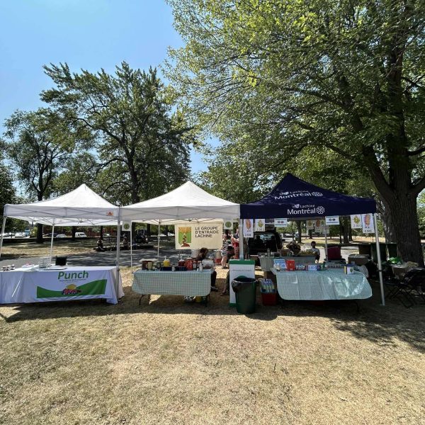 535221502_1286670899911882_2602317655724062677_n