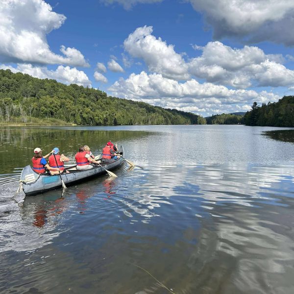 537374929_796693922782823_7299607963217246416_n